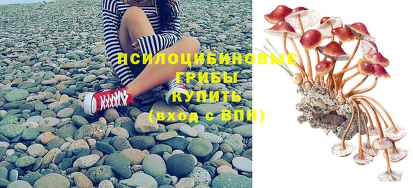 дурь Лагань