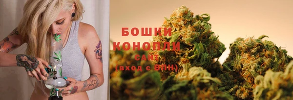 тгк Ладушкин