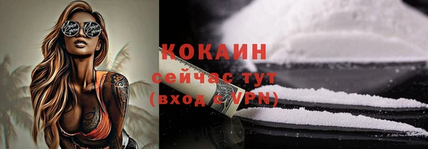 тгк Ладушкин