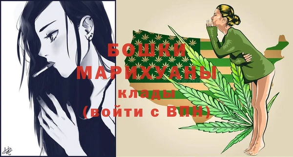 тгк Ладушкин